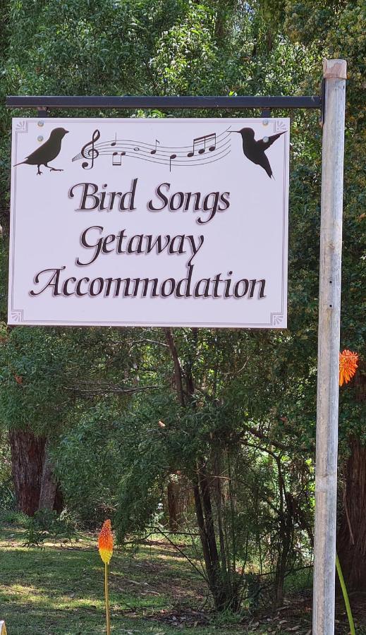 Bird Songs Getaway Accommodation Cabbage Tree Creek ภายนอก รูปภาพ